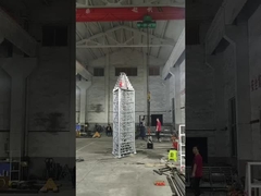 바퀴에 있는 세포