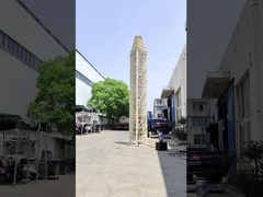 바퀴에 있는 세포